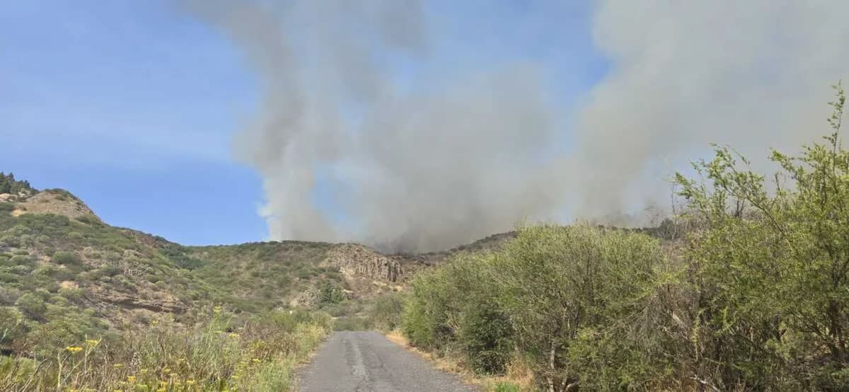 Columna de humo tras un incendio forestal en una zona rural y montañosa de Tenerife