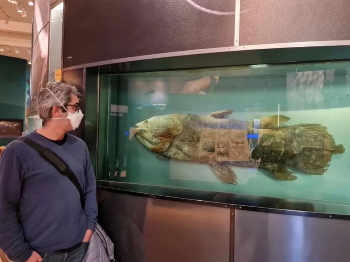 El investigador Aléssio Datovo posando junto a un celacanto conservado, exhibido en el Museo Nacional de Historia Natural del Instituto Smithsonian
