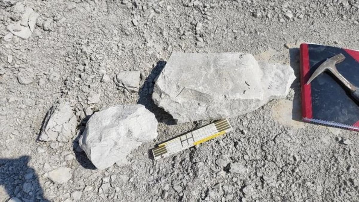 Fragmentos de roca de marga calcárea en laboratorio