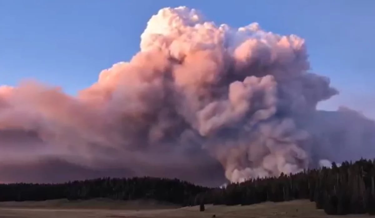 Nube de humo denso y rosado sobre el bosque del Gran Cañón durante el incendio Dragón Bravo