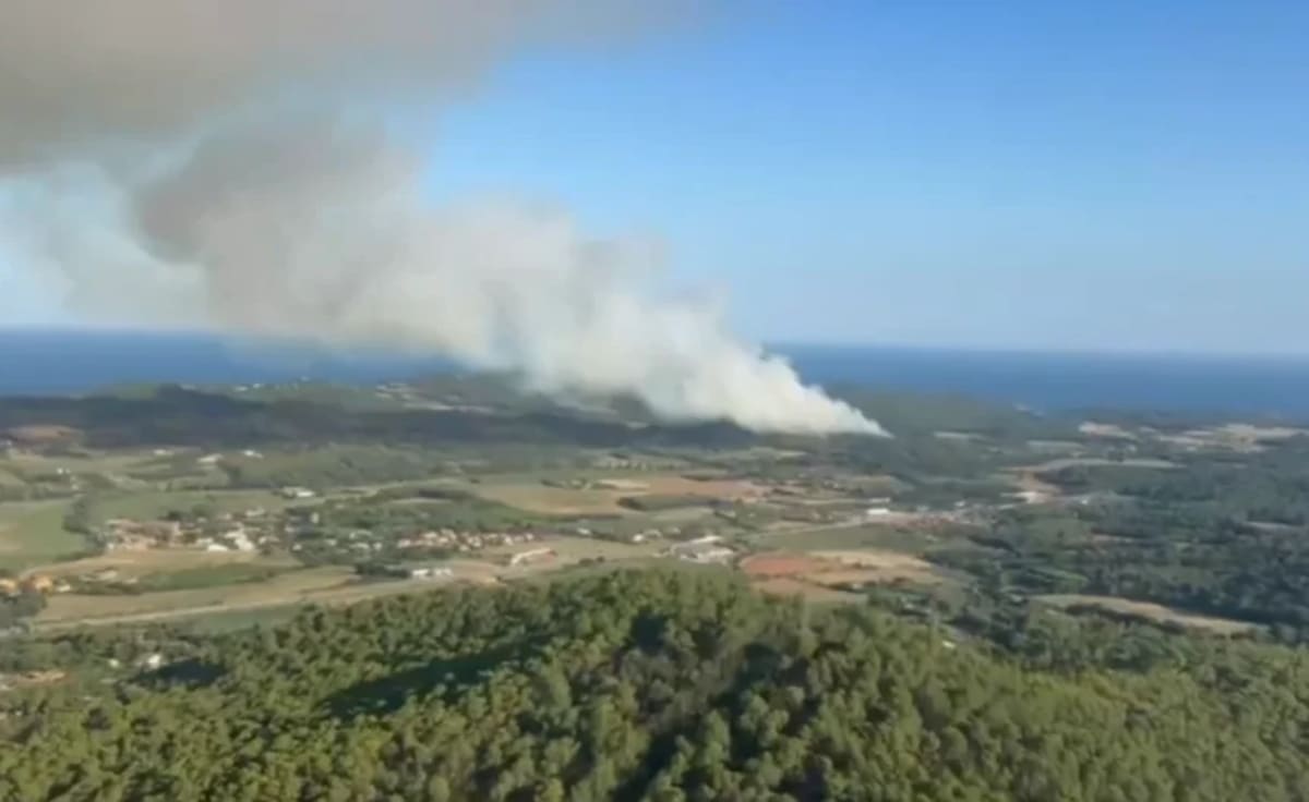 Columna de humo de un incendio forestal en Palamós