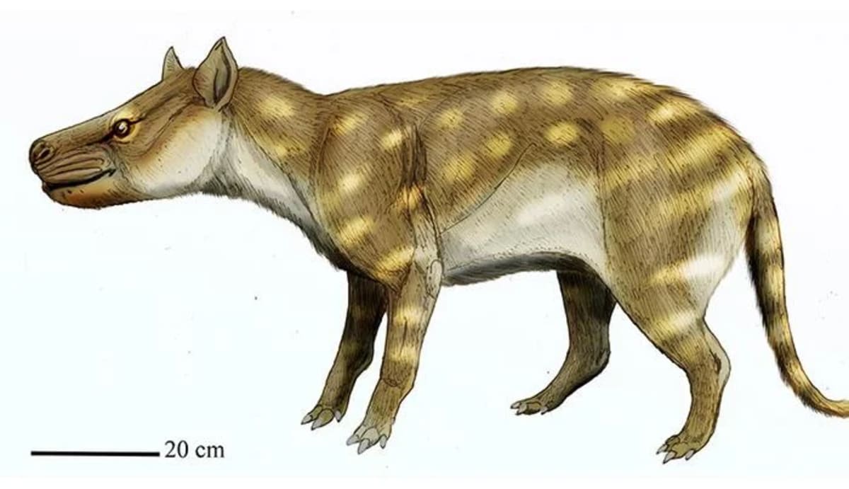 Reconstrucción artística del depredador extinto Dissacus praenuntius