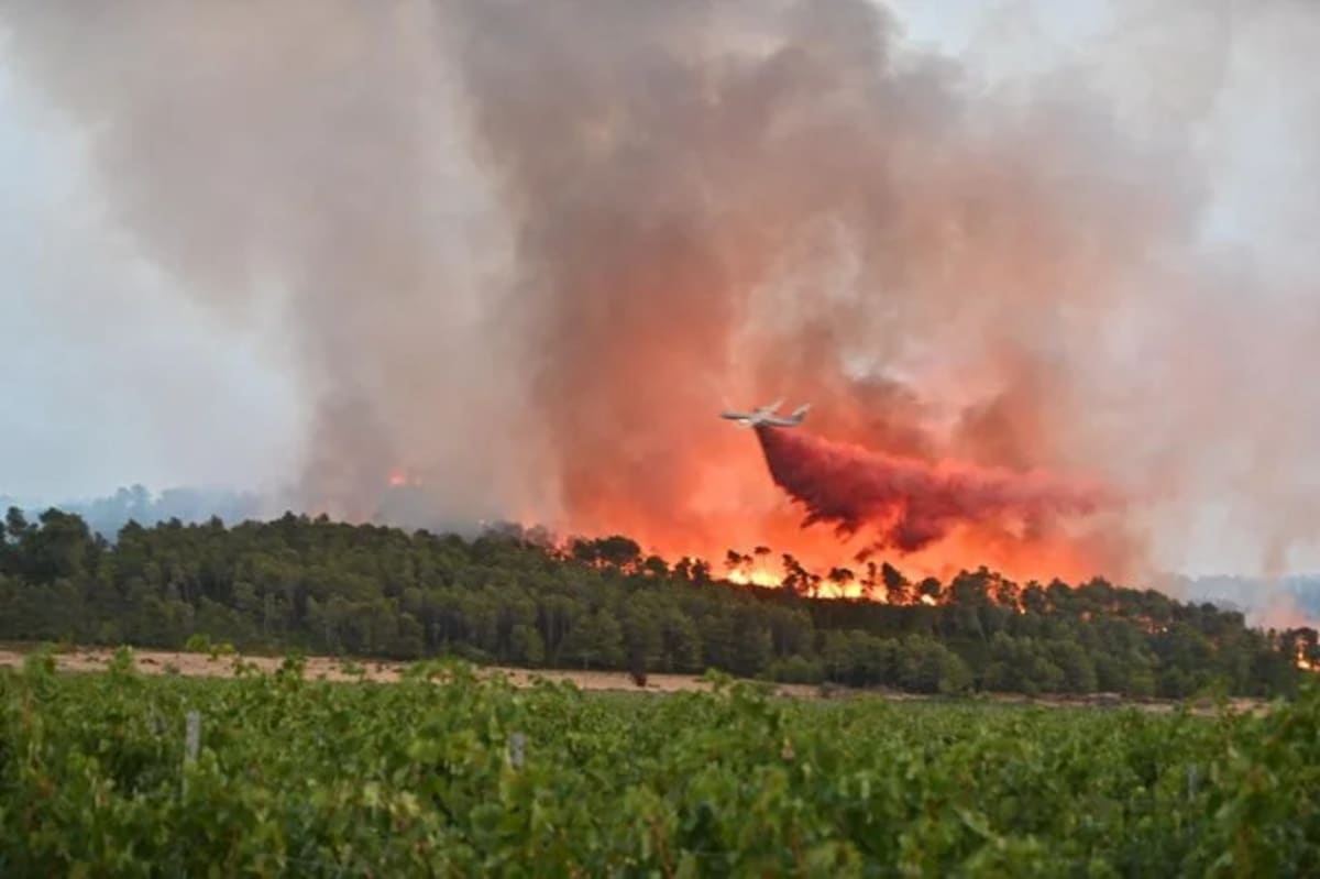 Un avión lanza retardante sobre el incendio forestal en Corbières, sur de Francia
