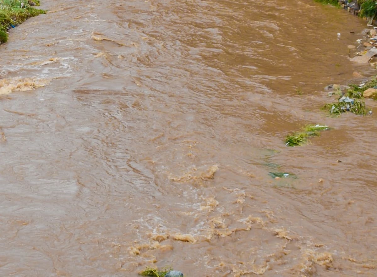 Crecida de arroyo con aguas turbias durante inundaciones en Atoyac, Guerrero