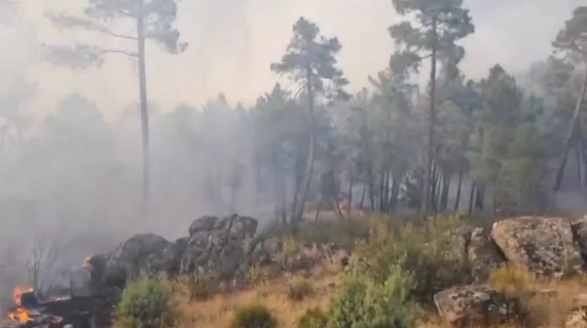Incendio forestal en San Bartolomé de Pinares, Ávila, con humo y llamas entre los árboles