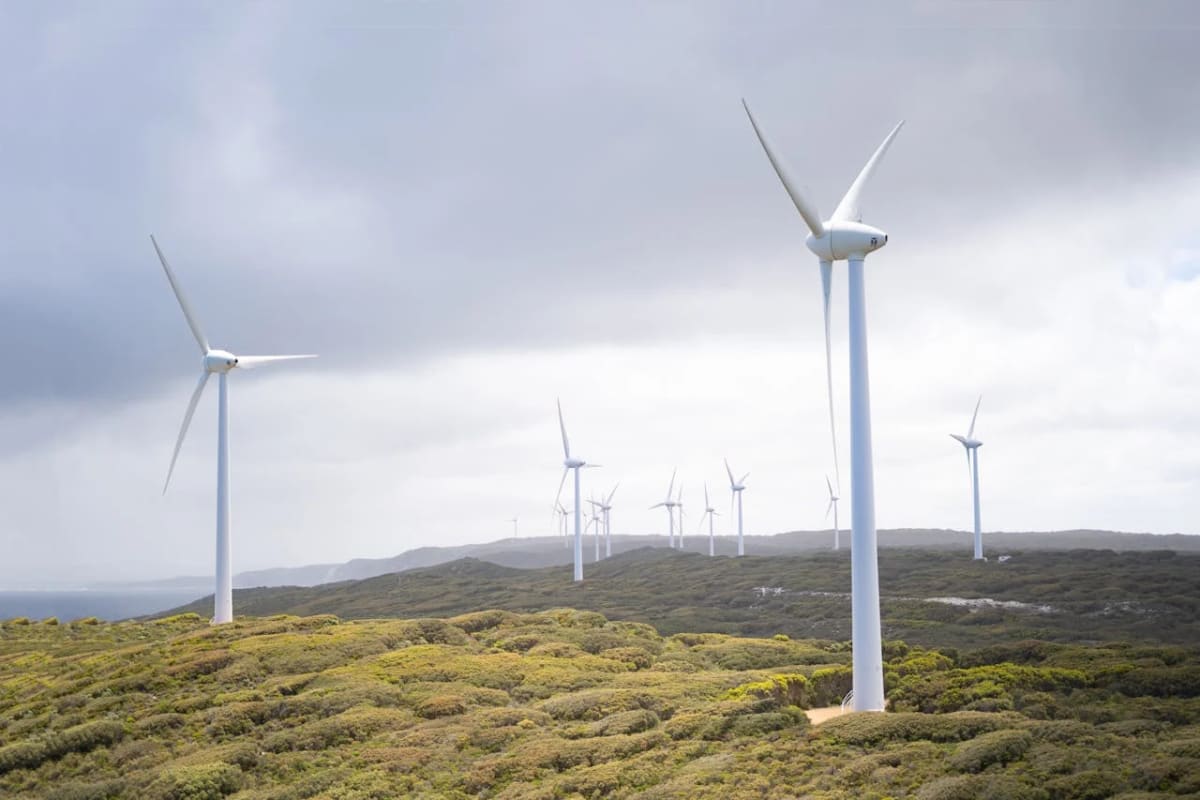 Fila de aerogeneradores en un paisaje montañoso con vegetación