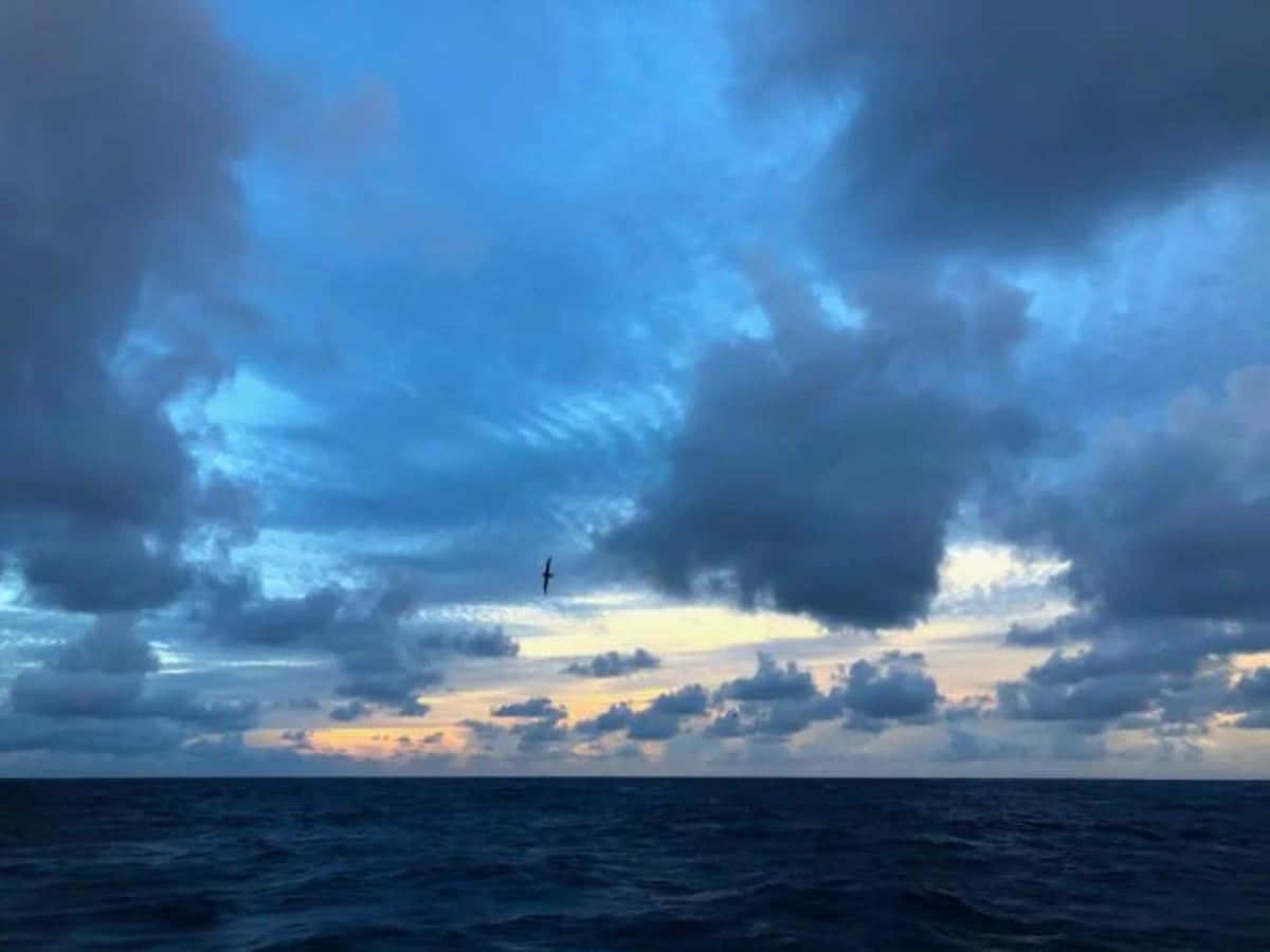 Atardecer sobre el océano en la Estación ALOHA con nubes y un ave en vuelo