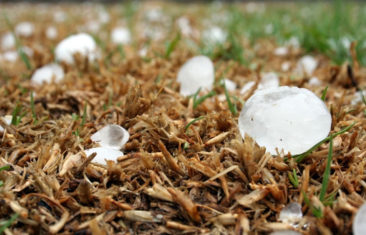Piedras de granizo sobre césped