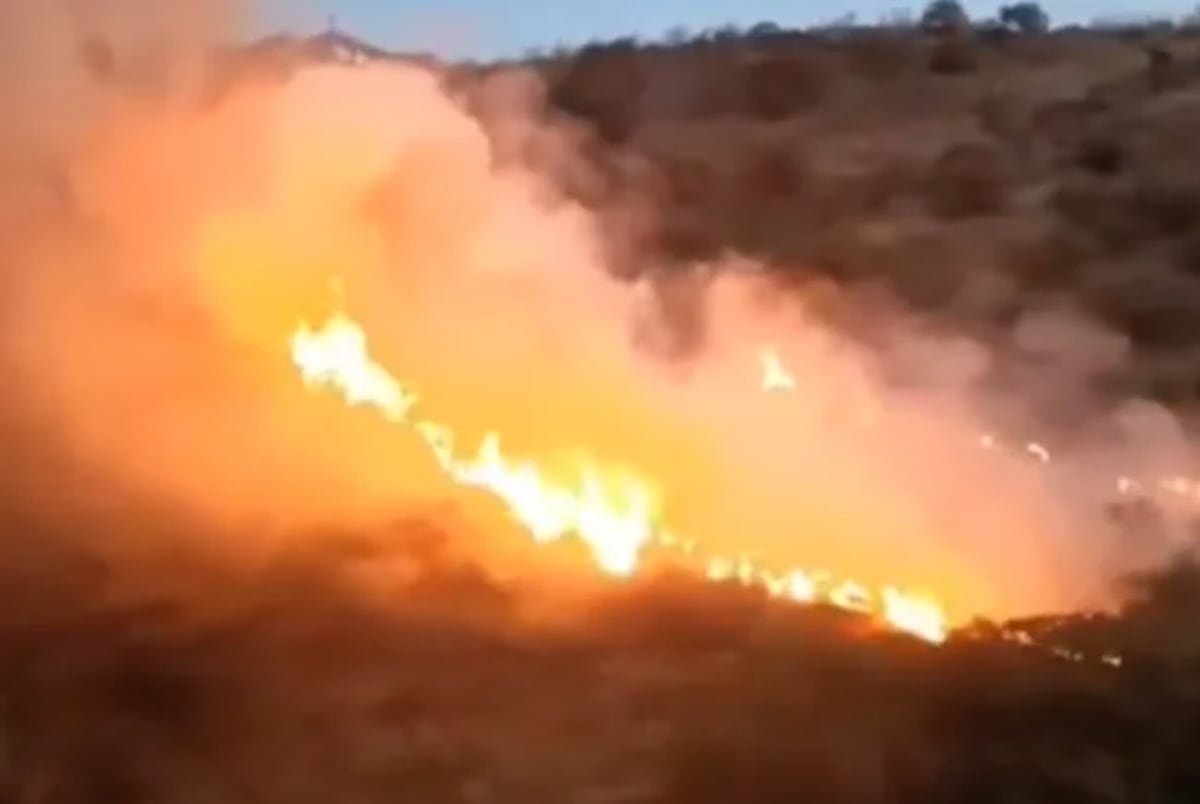 Incendio forestal en Granada, con llamas y humo avanzando por la ladera cerca del río Genil
