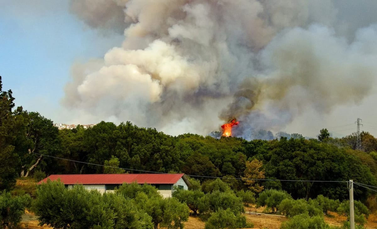 Incendio forestal con grandes columnas de humo y llamas visibles sobre una zona arbolada
