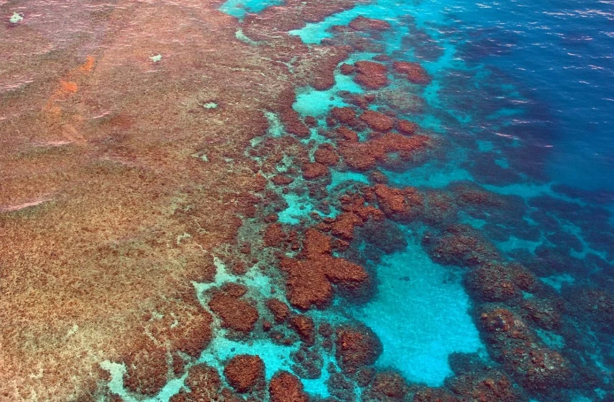 Vista aérea de la Gran Barrera de Coral en Australia con aguas turquesas y formaciones coralinas