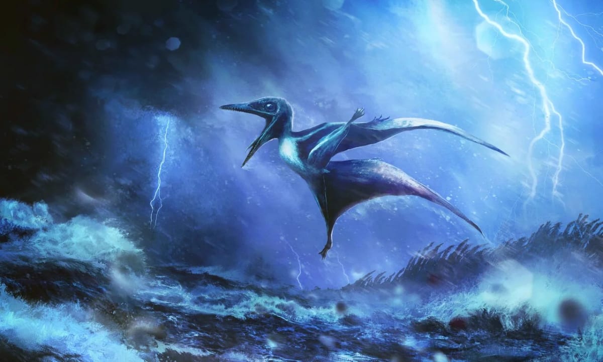 Ilustración artística de una cría de Pterodactylus enfrentando una tormenta tropical inspirada en hallazgos fósiles