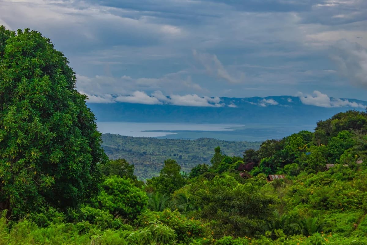 Paisaje verde en la región del Congo con montañas al fondo y cielo nublado