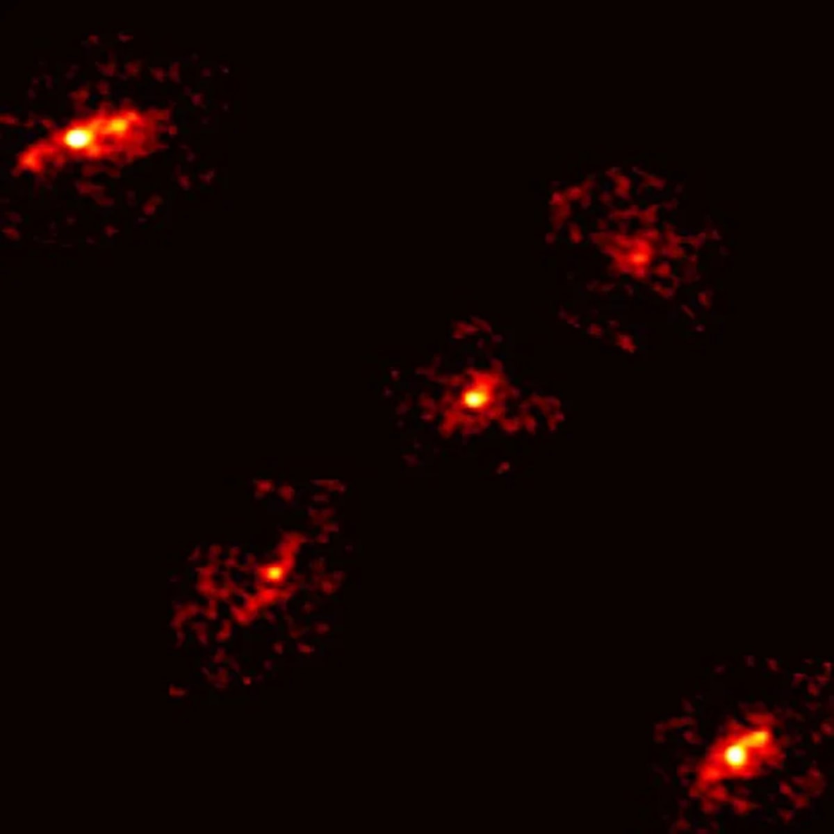 Cruz de Einstein observada con cinco puntos de luz en lugar de los cuatro habituales, descubierta por astrónomos con datos de ALMA