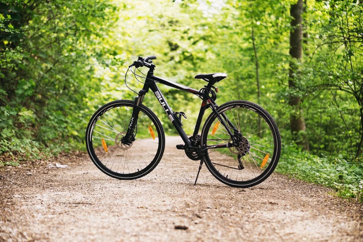 Una bicicleta negra estacionada en un camino de tierra rodeado de vegetación, en un entorno natural