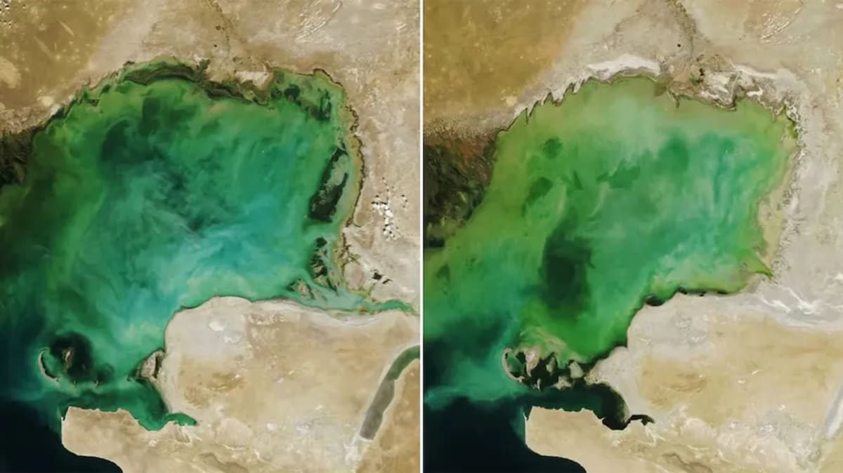 Grupo de personas en bote inflable frente a un gran bloque de hielo en el Ártico