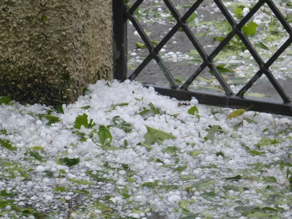 Acumulación de granizo tras una tormenta acompañado de hojas verdes caídas