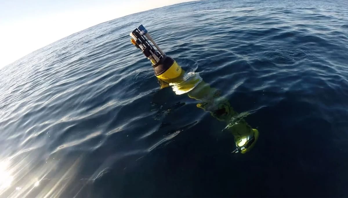 Flotadores robóticos del proyecto Global Ocean Biogeochemistry Array recopilando datos en el Golfo de Alaska
