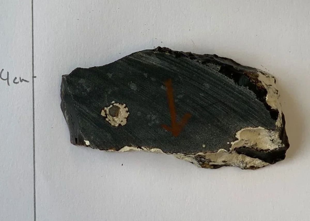 Muestra de roca sedimentaria chert extraída de una perforación oceánica