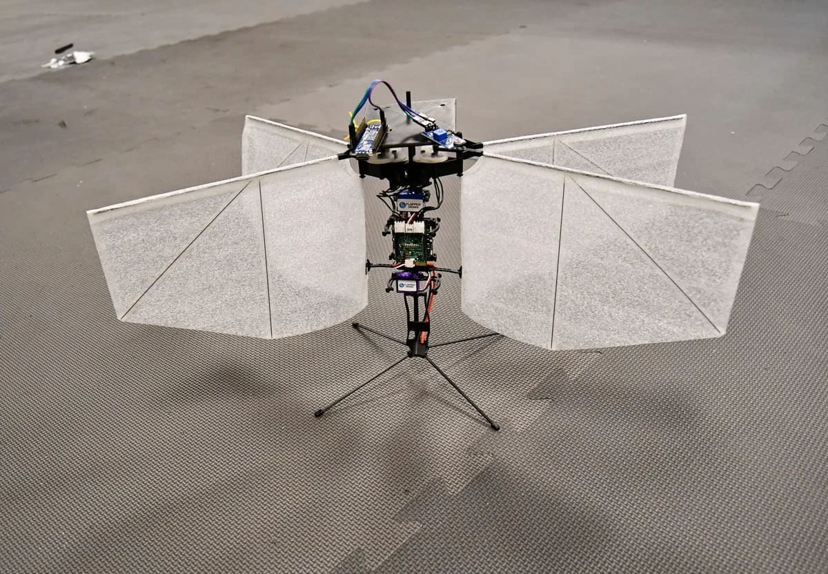 Dron con forma de polilla desarrollado por investigadores de la Universidad de Cincinnati que navega sin inteligencia artificial