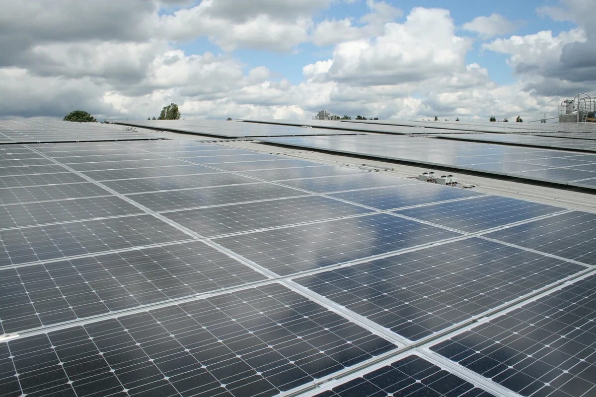 Filas de paneles solares instalados en exterior mientras investigadores evalúan su impacto ambiental para evitar posibles fuentes de contaminación asociadas a su uso