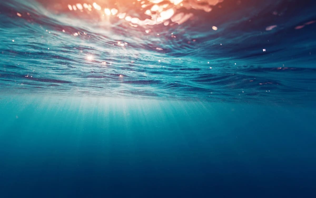 Vista submarina con luz solar filtrándose a través del agua