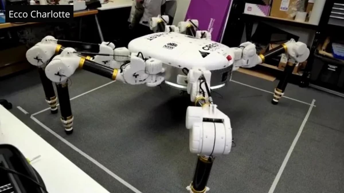 Robot Charlotte durante las pruebas en laboratorio