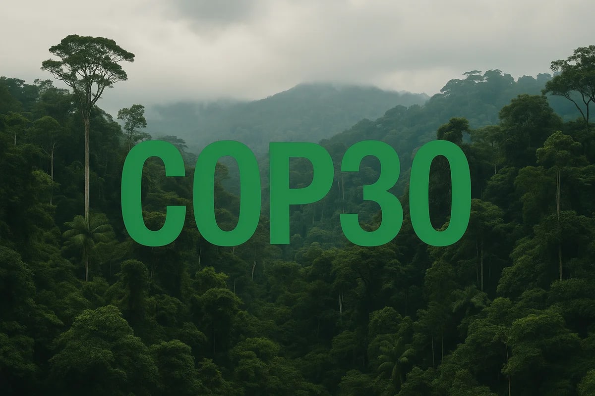 Texto COP30 sobre una selva tropical iluminada por la luz del día