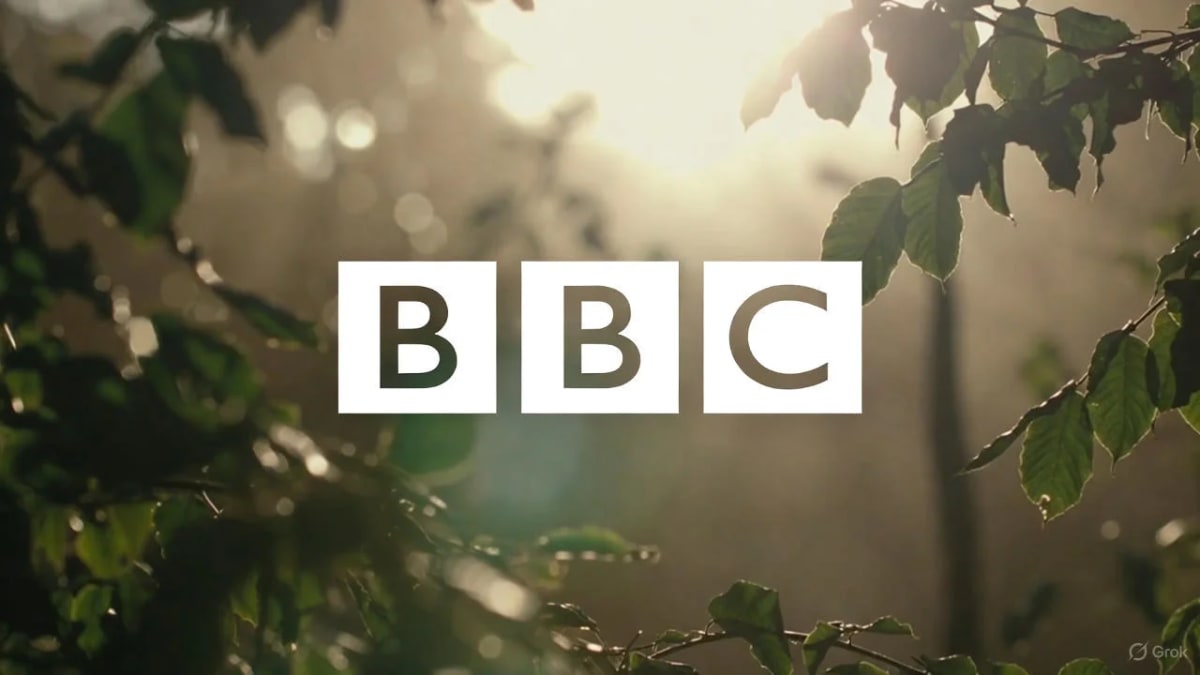Logotipo con las letras BBC centrado sobre un fondo natural con hojas verdes y luz solar difusa