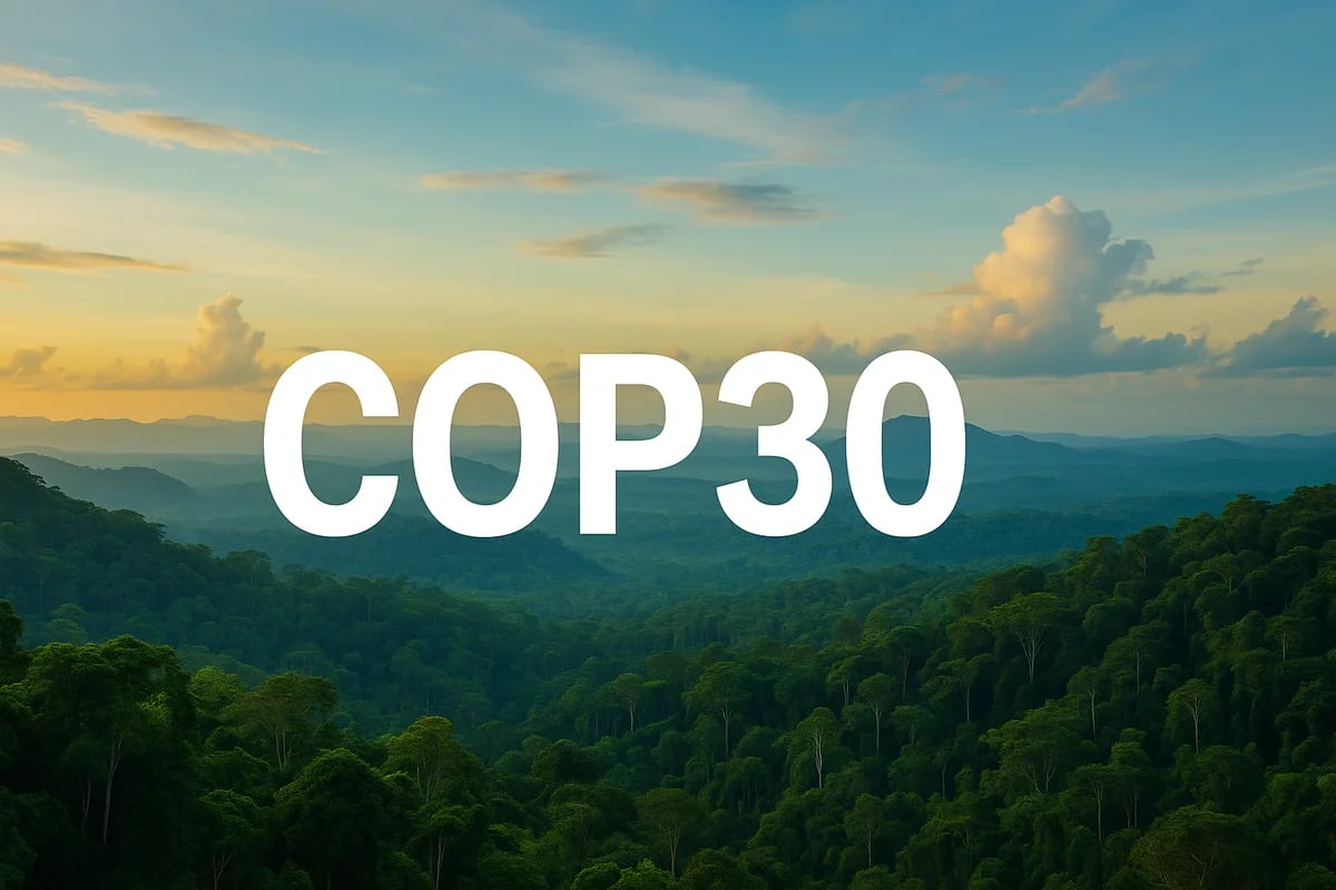 Texto “COP30” en el centro sobre un paisaje tropical con selva verde y cielo cálido al atardecer