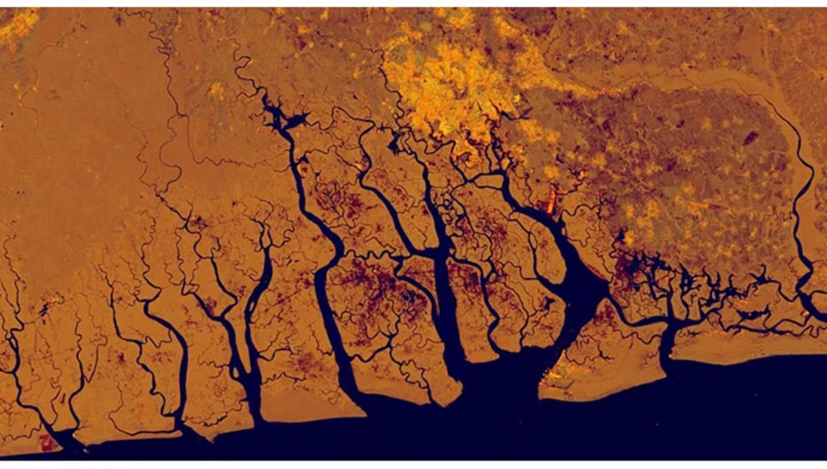 Imagen SAR del delta del Níger capturada por Sentinel-1, mostrando en tonos naranjas la ciudad de Port Harcourt y áreas afectadas por contaminación y deforestación