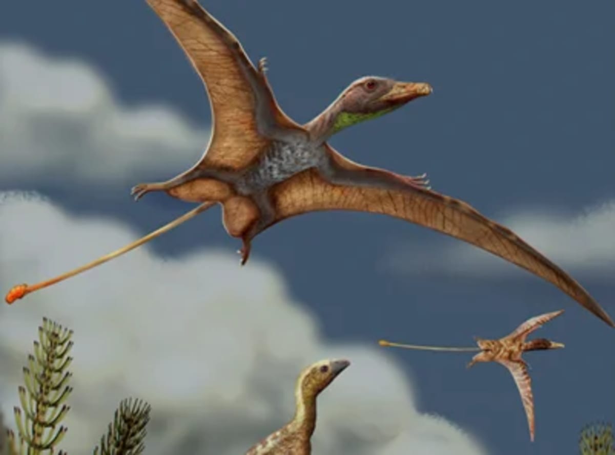 Reconstrucción del paisaje del Triásico Tardío con un lagerpétido sobre una roca mientras pterosaurios vuelan sobre él