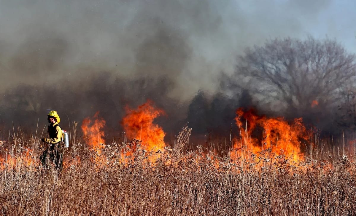 Bombero caminando junto a un incendio forestal activo entre vegetación seca y humo denso