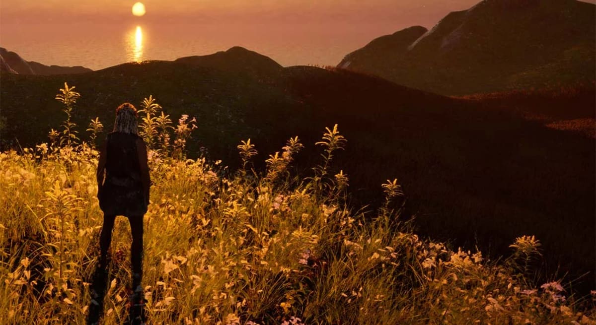 Personaje del juego observando el atardecer desde una colina cubierta de vegetación