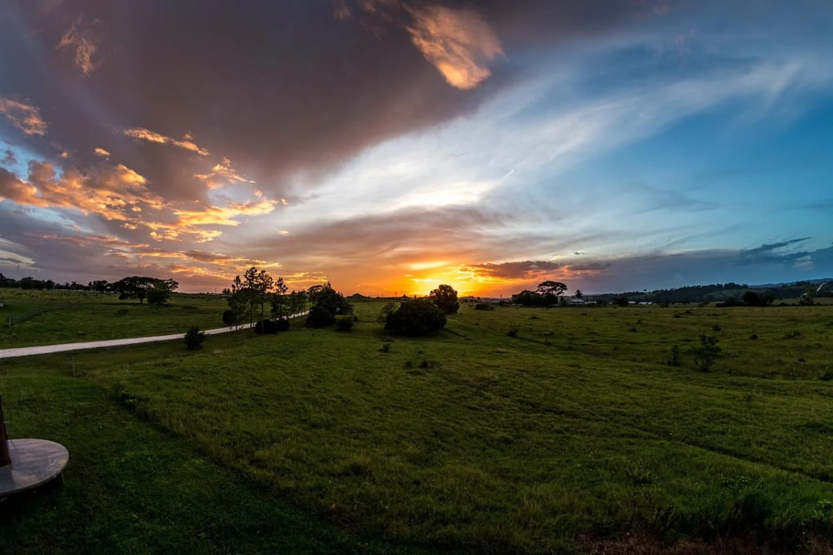 Horizonte terrestre al atardecer con colinas verdes y árboles bajo un cielo parcialmente nublado