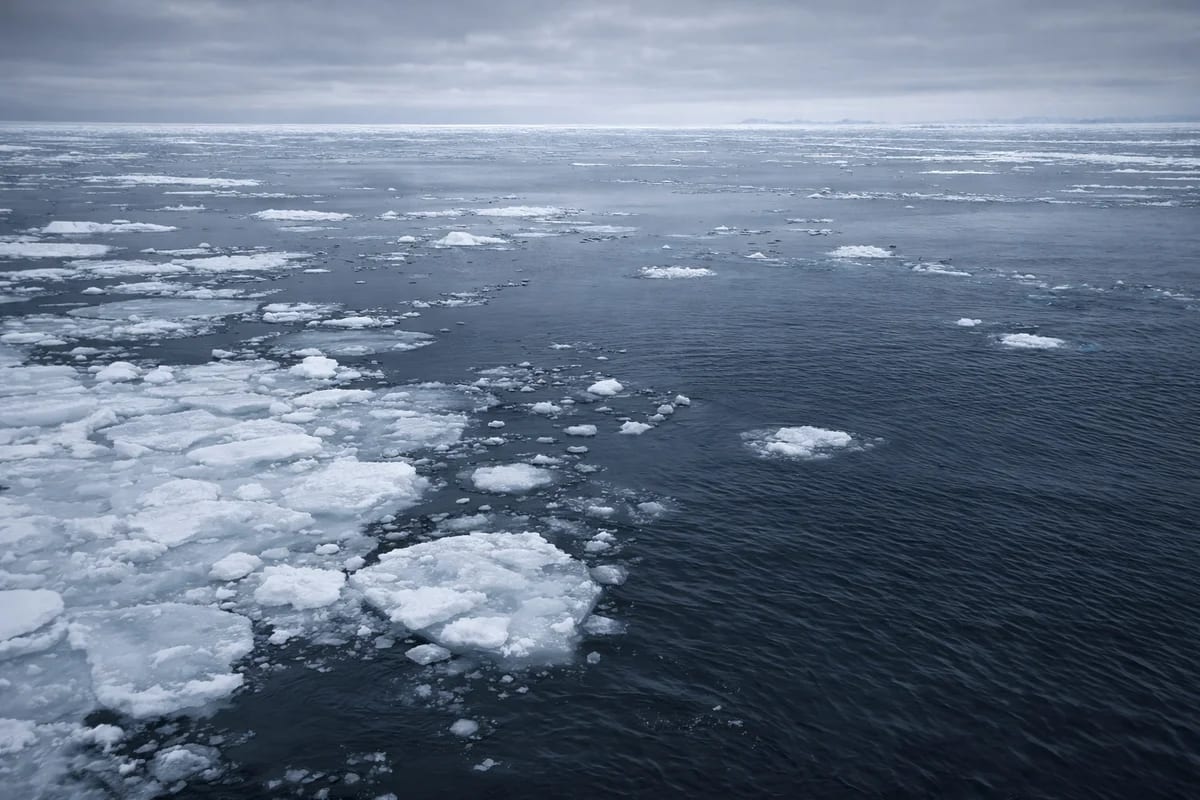 Hielo marino fragmentado en retroceso