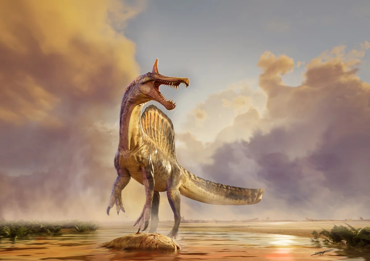 Ilustración de Spinosaurus mirabilis junto al cadáver de un celacanto en un río del Cretácico