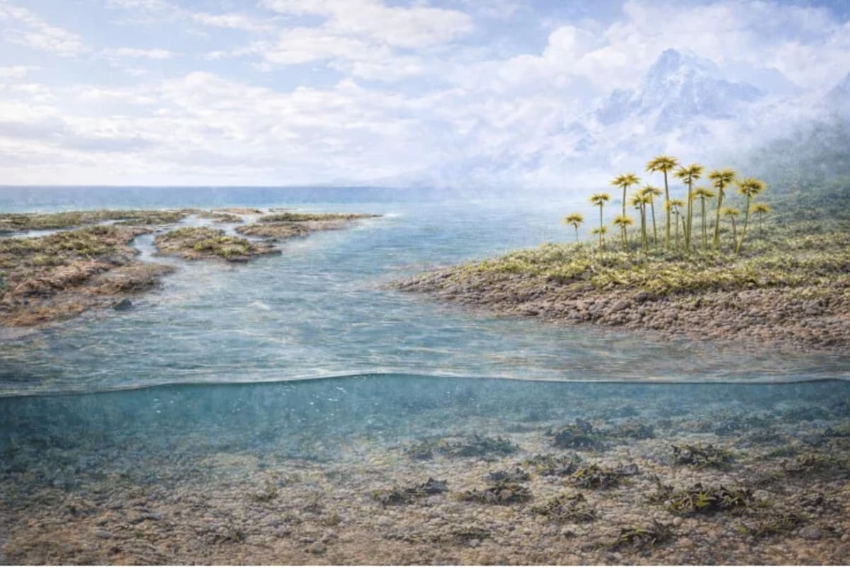 Recreación de las primeras plantas terrestres en paisajes del Ordovícico