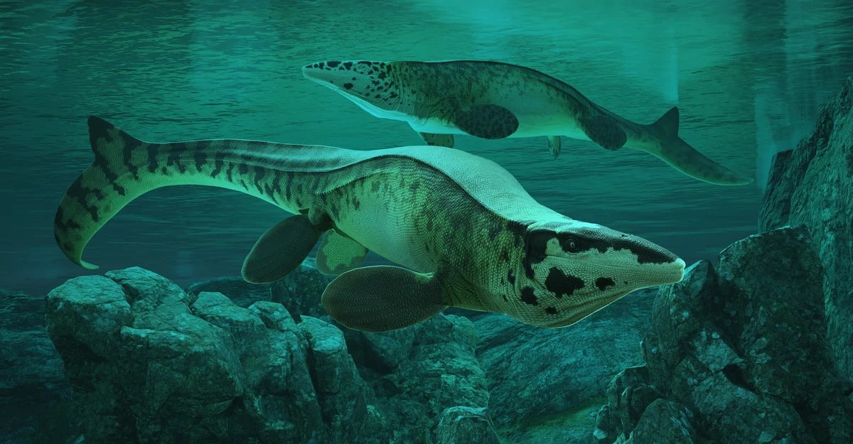 Reconstrucción artística de Tylosaurus rex en el mar Cretácico