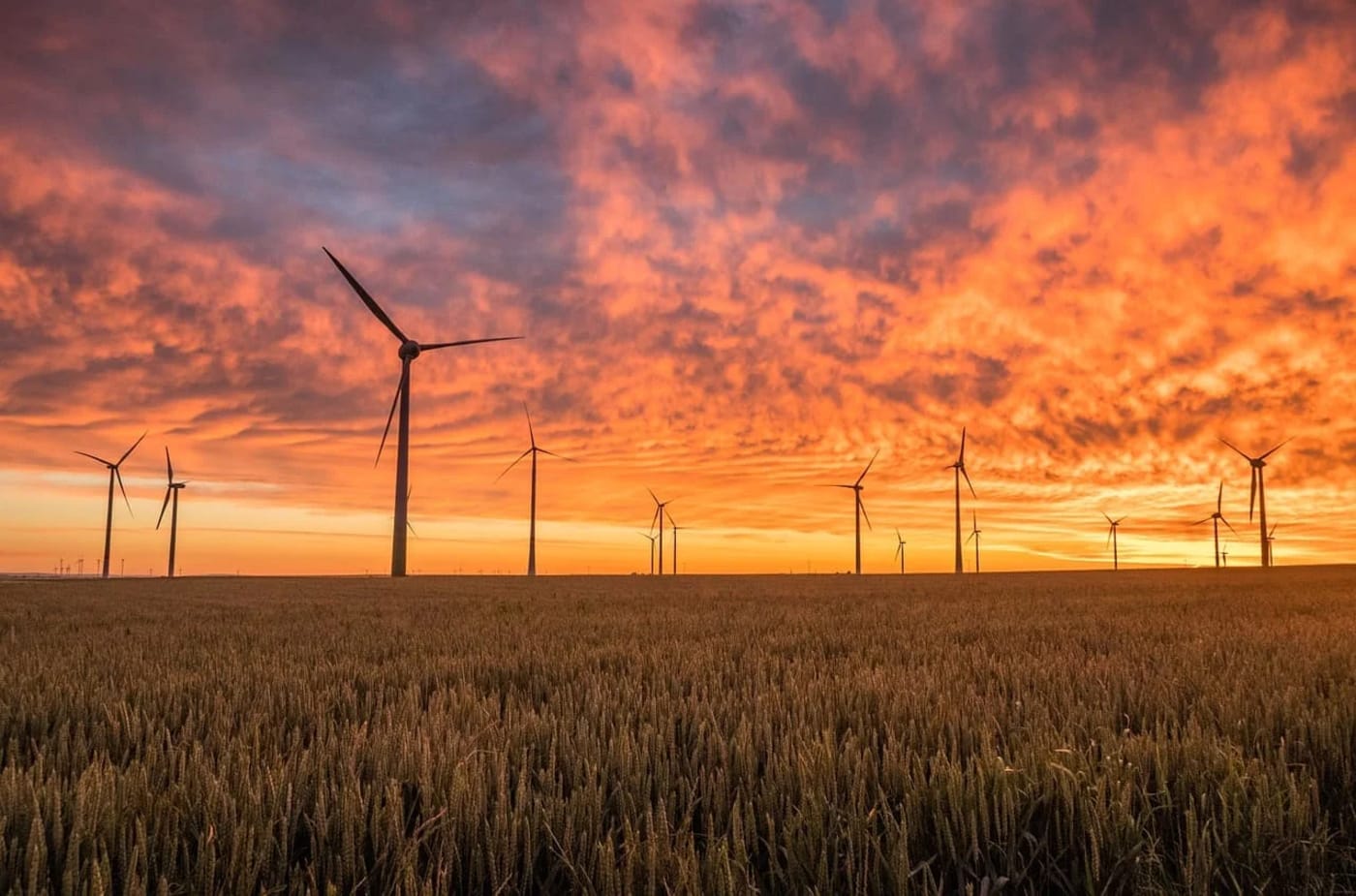 Campo lleno de aerogeneradores en funcionamiento bajo un cielo colorido al atardecer, simbolizando energía eólica sostenible.