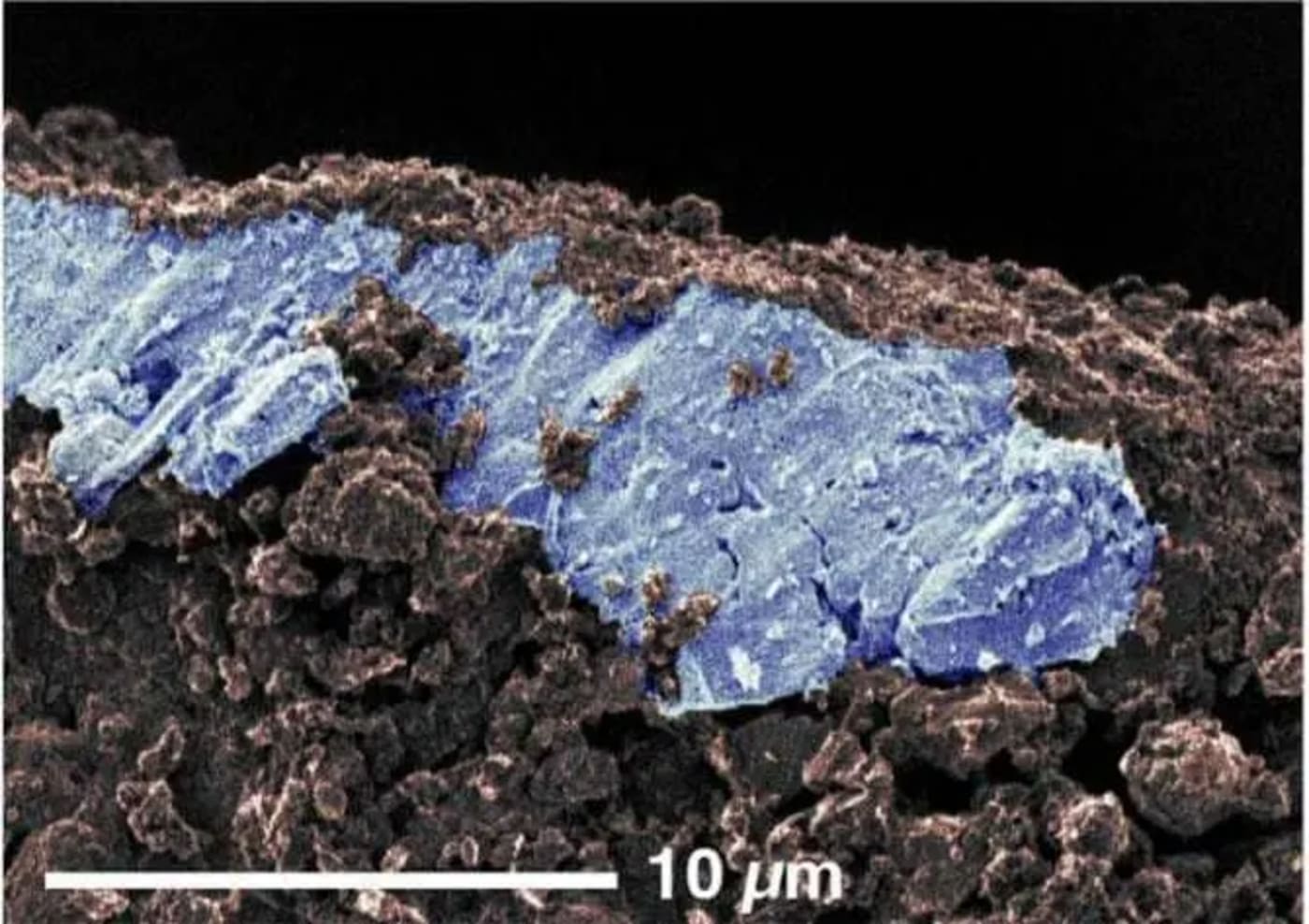 Imagen microscópica que muestra depósitos de carbonatos de sodio en una muestra del asteroide Ryugu, evidencia de la presencia de agua líquida salada en el pasado.
