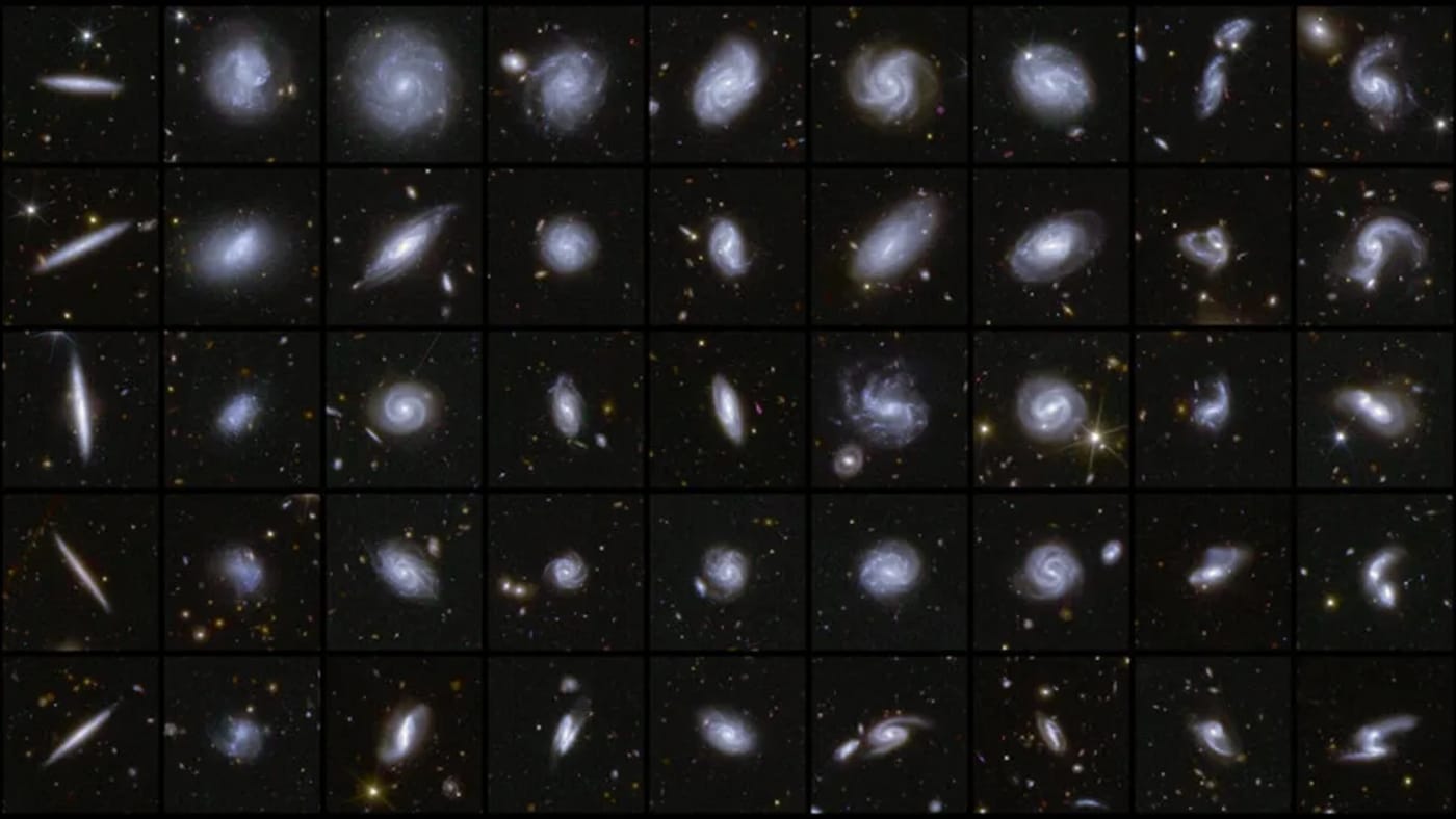 Algunas de las numerosas galaxias de diferentes formas captadas por Euclid en sus primeras observaciones de las áreas de campo profundo.