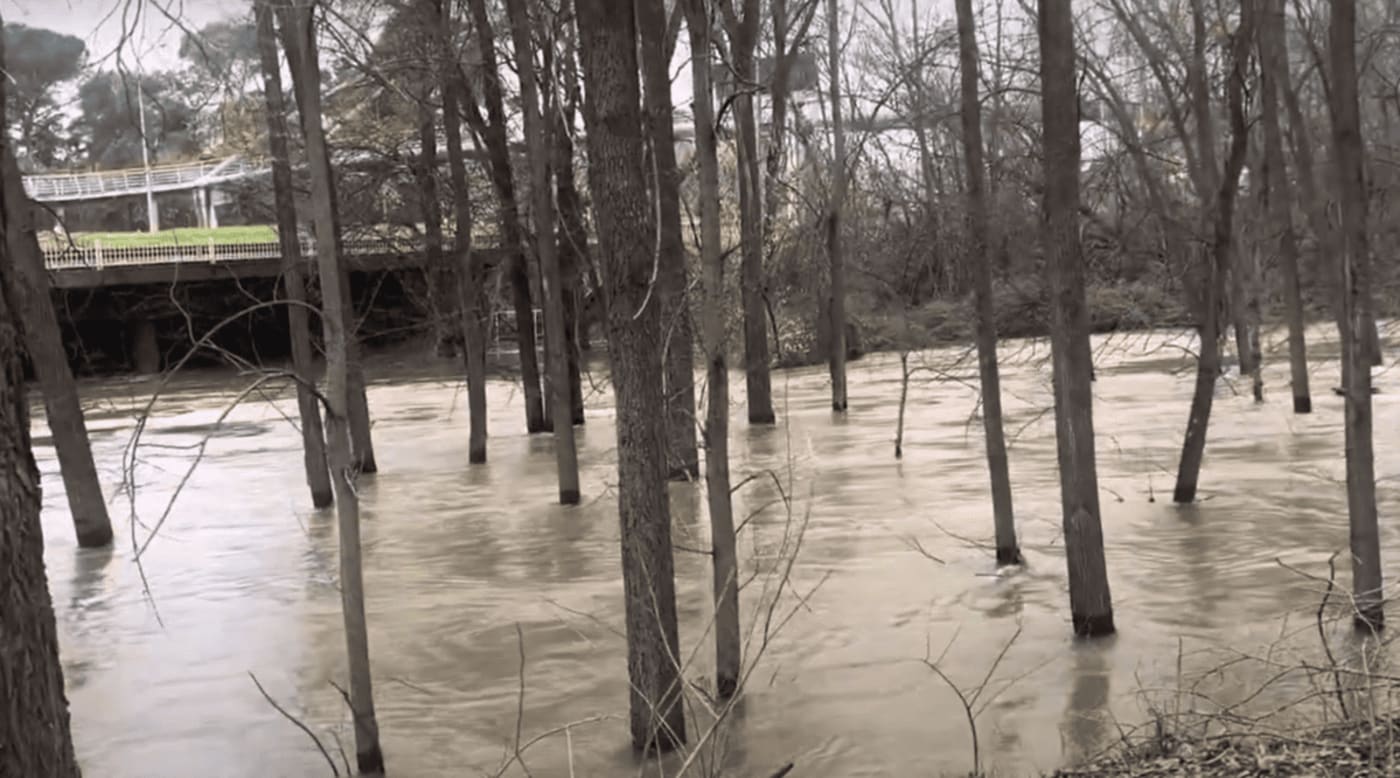 Río Manzanares desbordado con árboles sumergidos en el agua y un puente en el fondo.