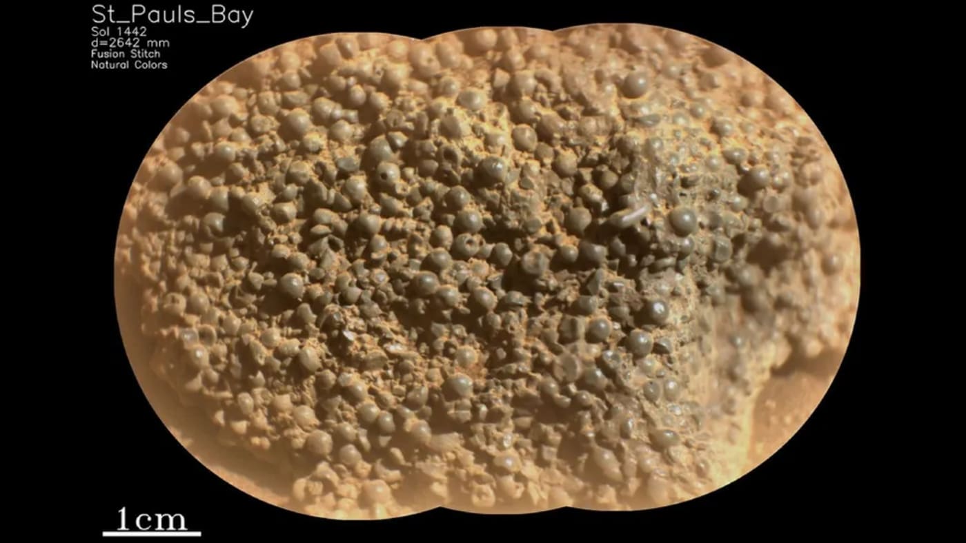 Primer plano de una roca marciana con cientos de esferas oscuras adheridas, captada por la SuperCam del rover Perseverance.