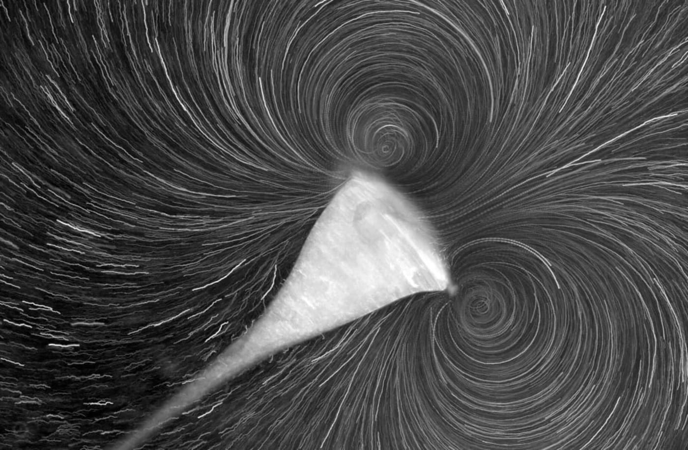 Patrones de flujo generados por Stentor coeruleus durante la alimentación