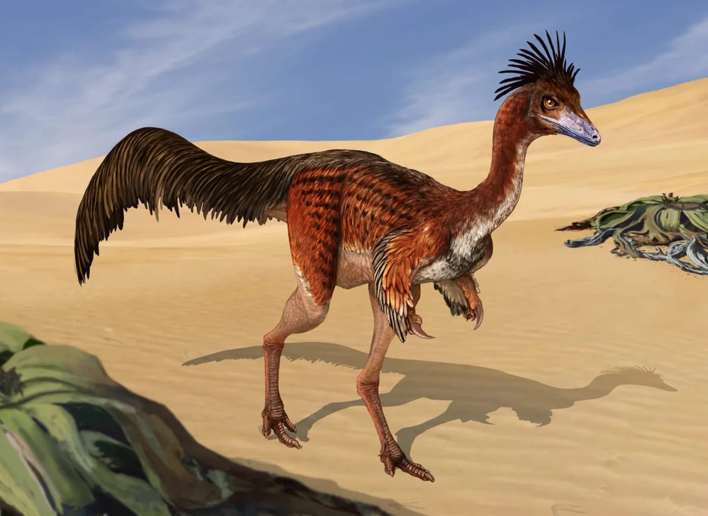 Representación digital del esqueleto de Bonapartenykus ultimus, con detalles de las cavidades neumáticas en su columna.