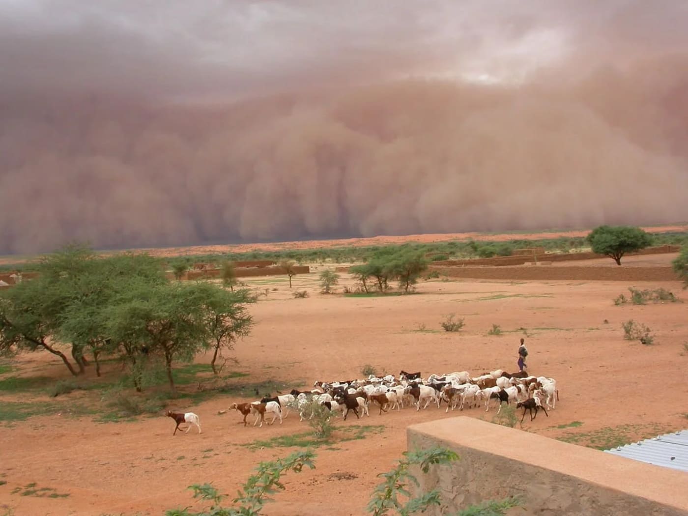 Tormenta de polvo avanzando sobre el paisaje semiárido de Mali antes de intensas lluvias en el Sahel.