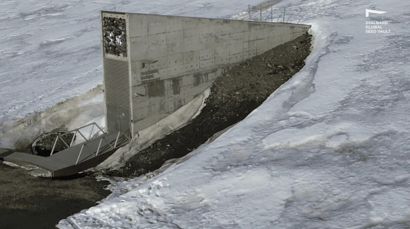 Vista frontal de la entrada del Svalbard Global Seed Vault, parcialmente cubierta por nieve.