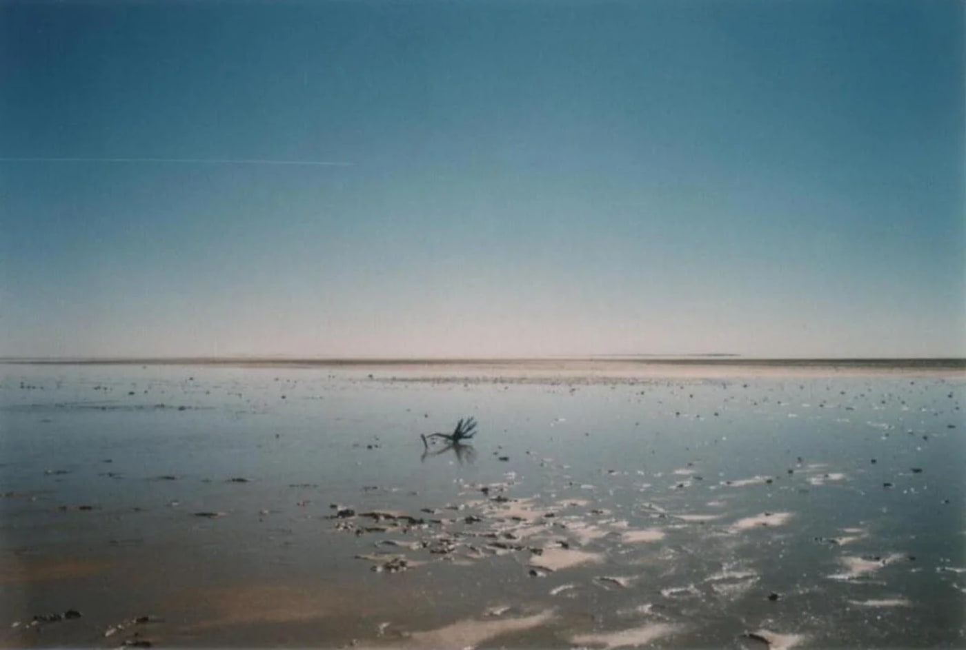 Kati Thanda–Lago Eyre sur completamente inundado visto desde el aire