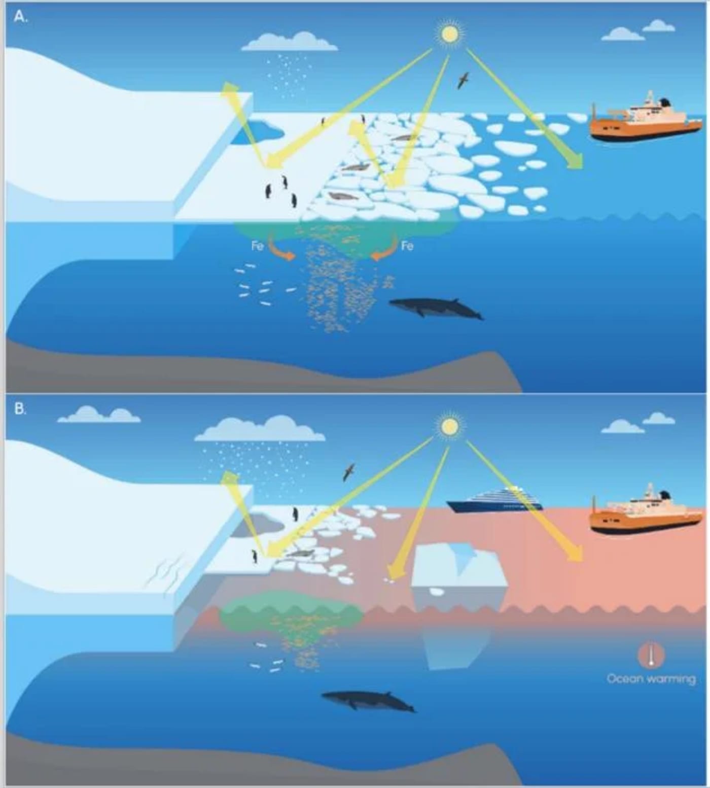 Comparativa visual de dos veranos en la Antártida